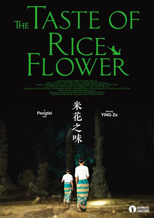 哪里能买到瑞士驾照